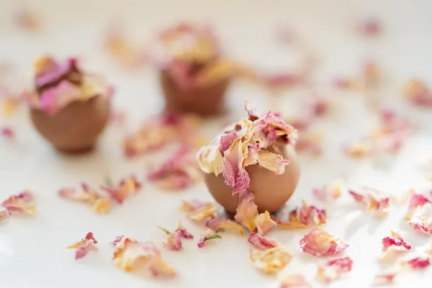 コイン365ベット カジノ Android/iOS アプリ